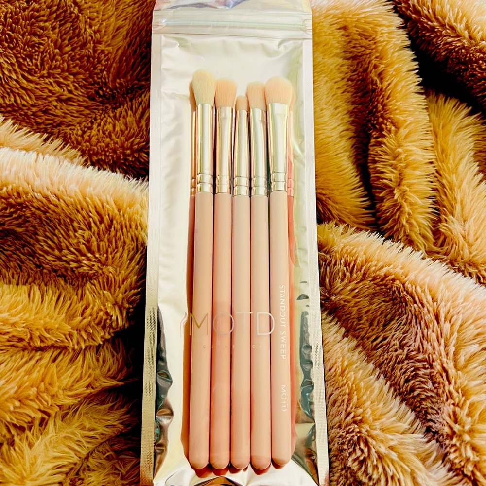 New makeup eyeshadow brush set. NWOT